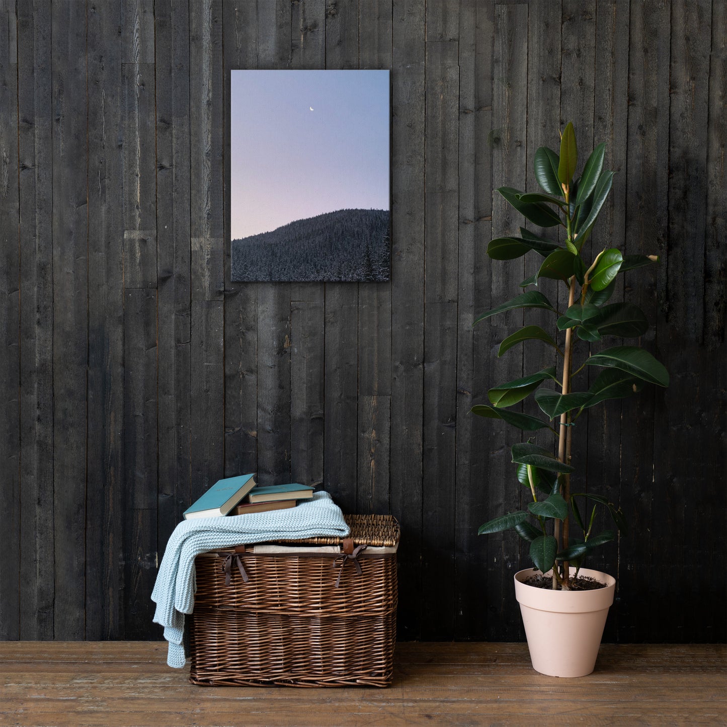 Moonlit | Thin Canvas