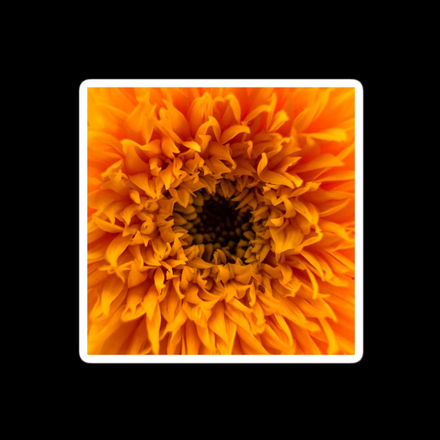 Sunflower | Bubble-free stickers