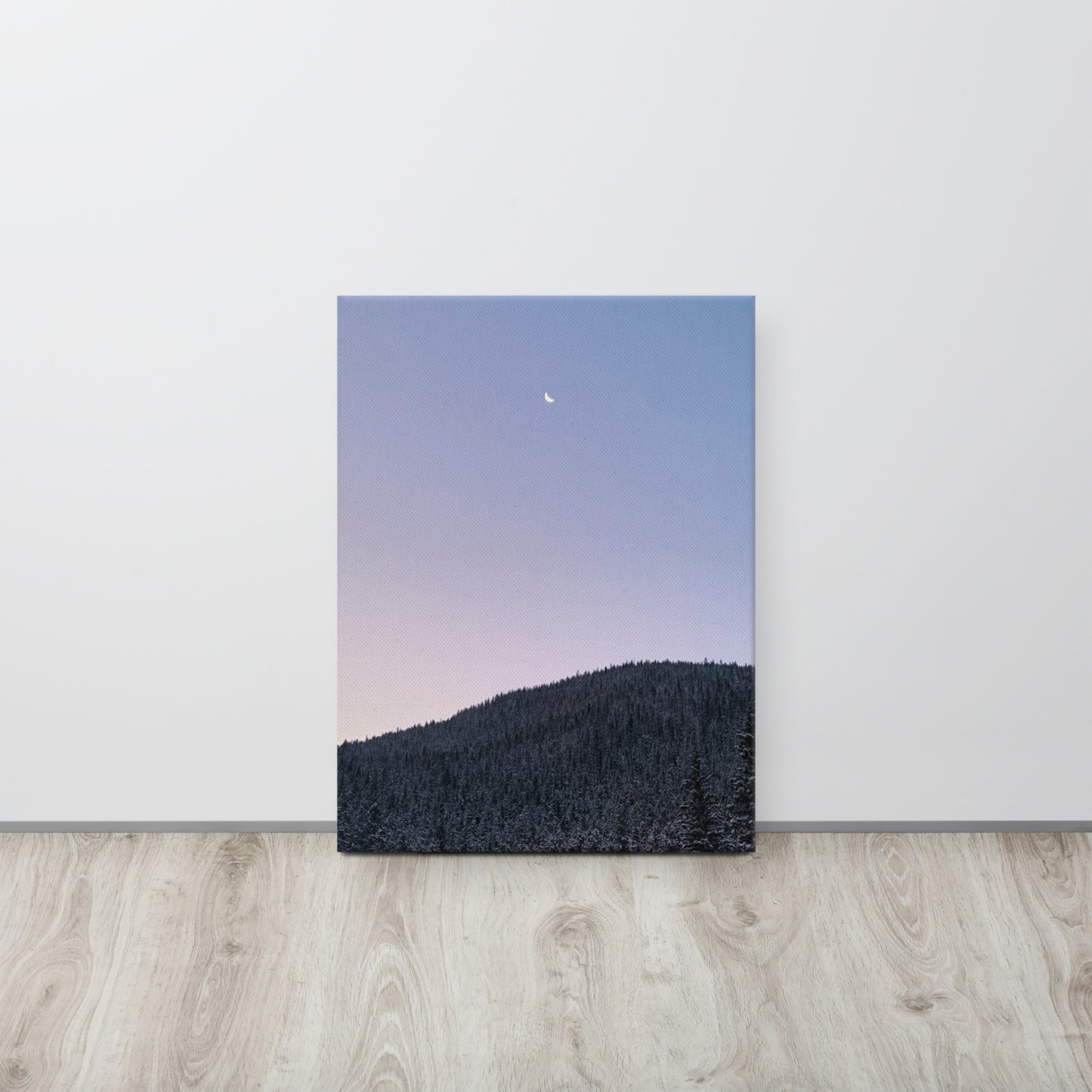Moonlit | Thin Canvas