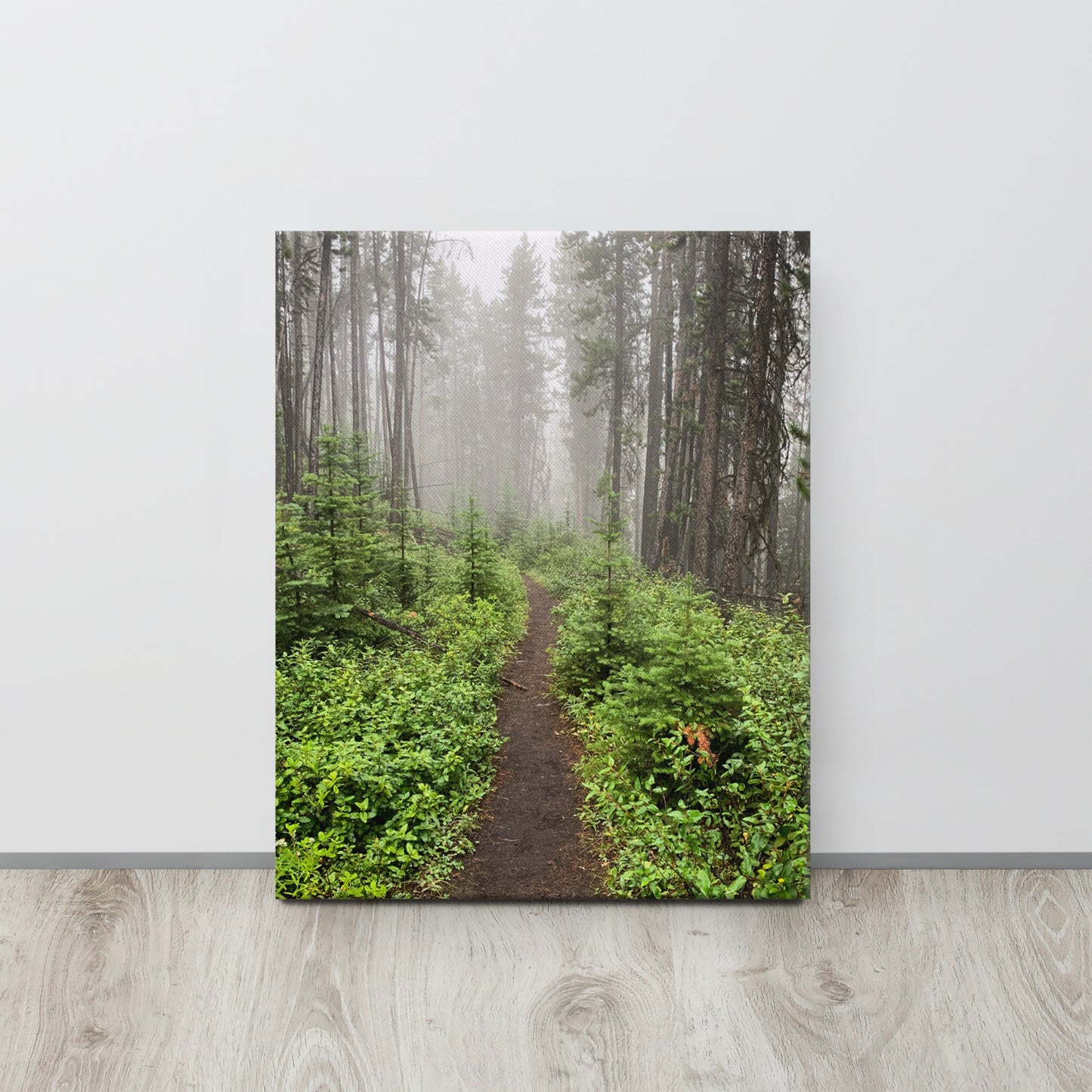 Foggy Footpath | Thin Canvas