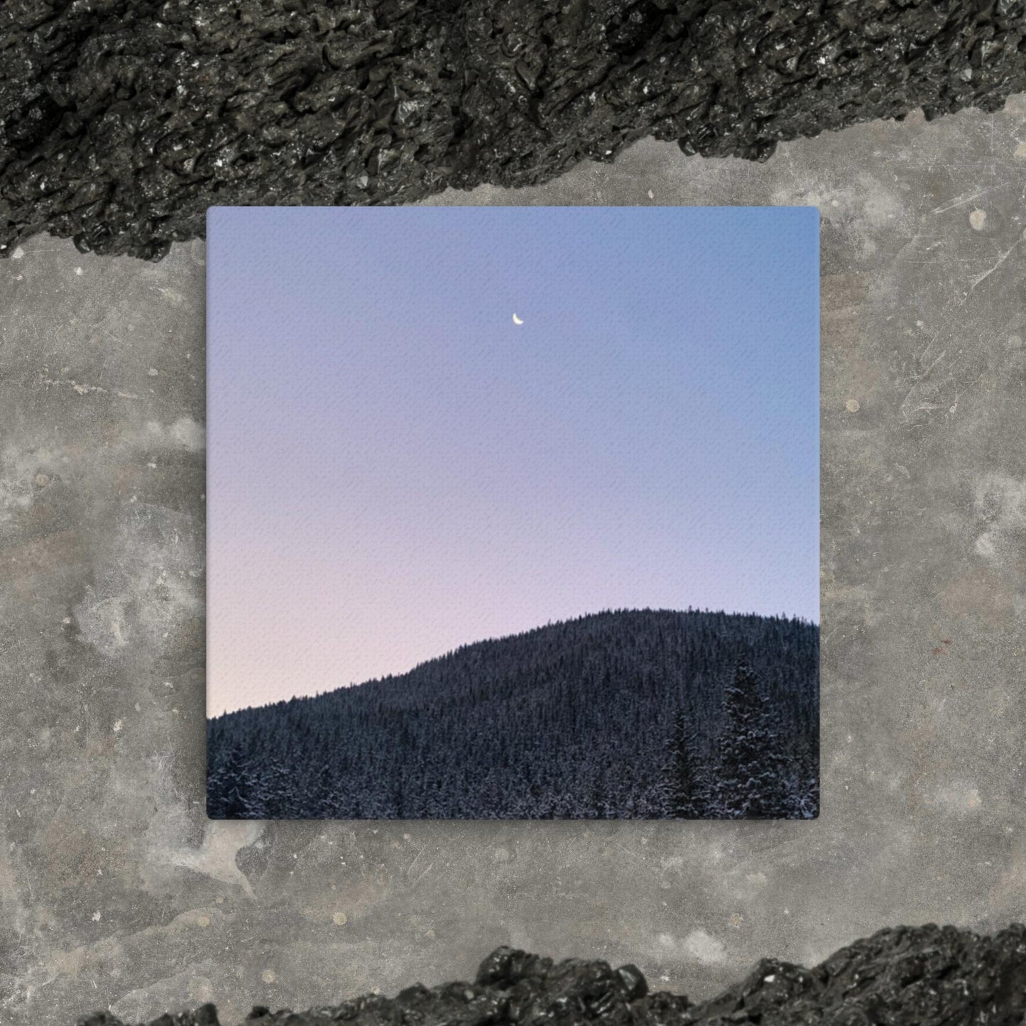 Moonlit | Thin Canvas