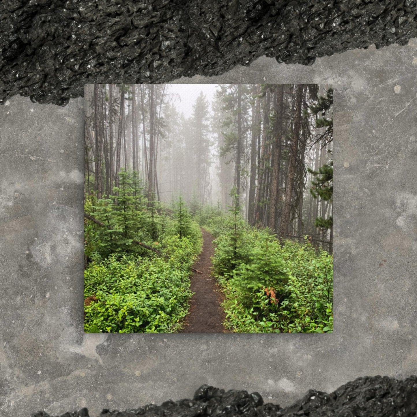 Foggy Footpath | Thin Canvas