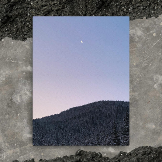 Moonlit | Thin Canvas